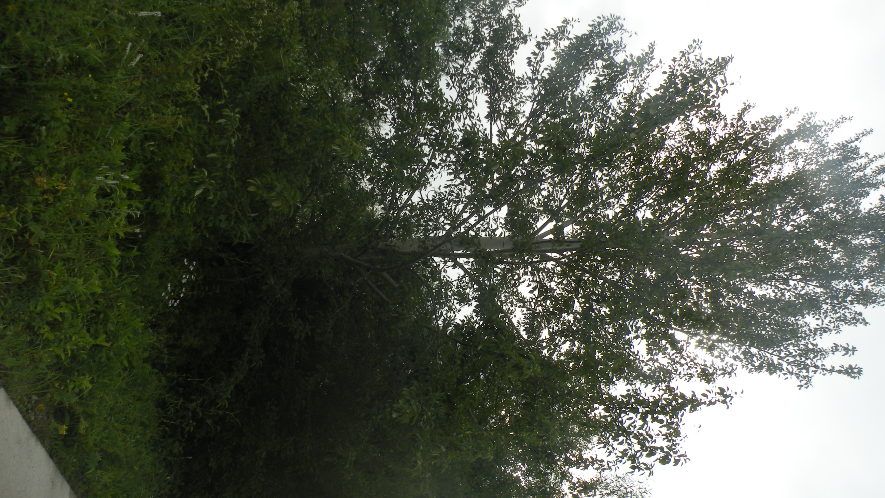 DSCN0314.JPG