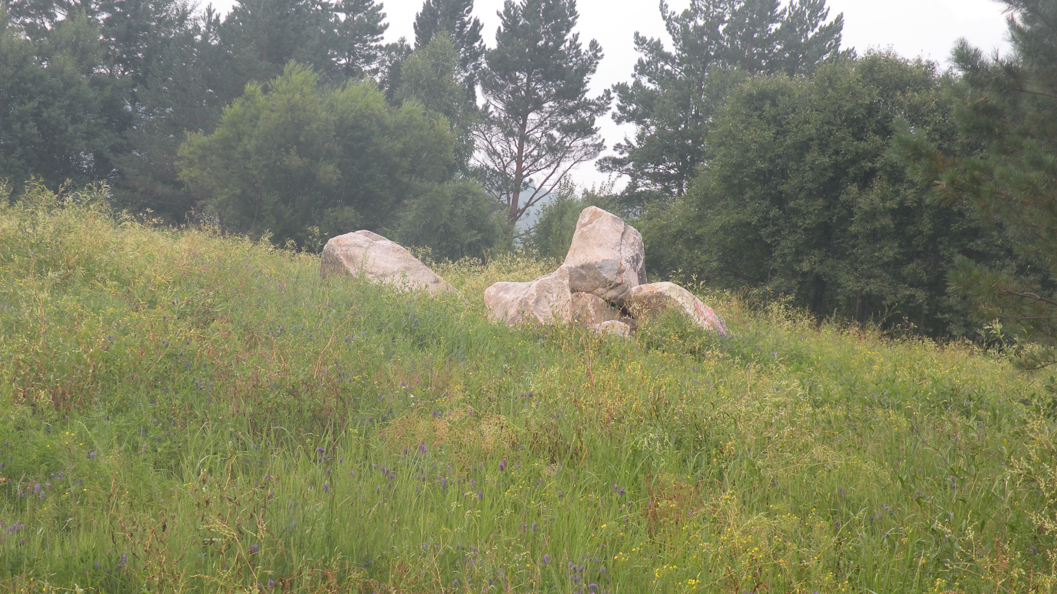 DSCN0313.JPG
