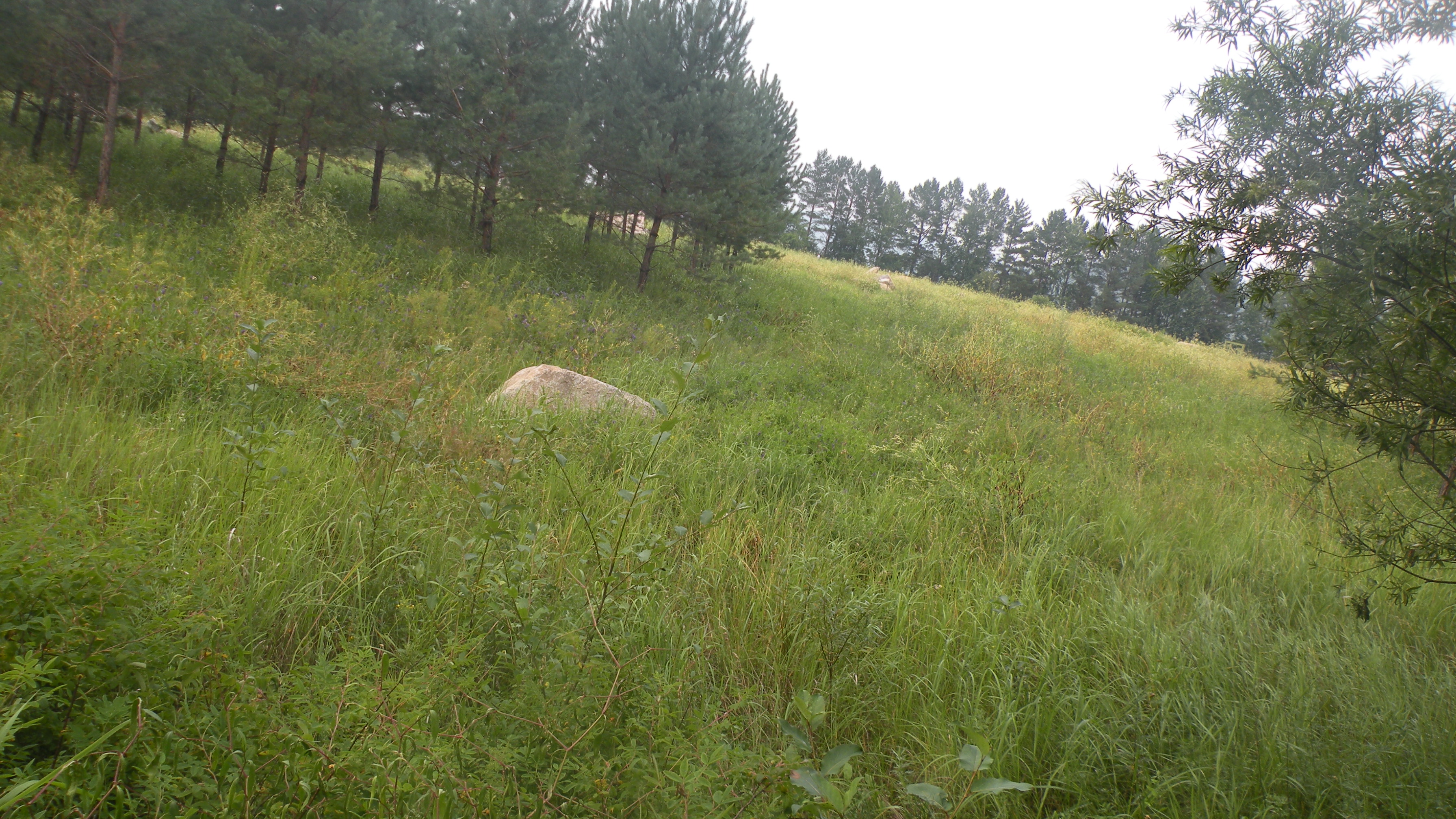 DSCN0311.JPG