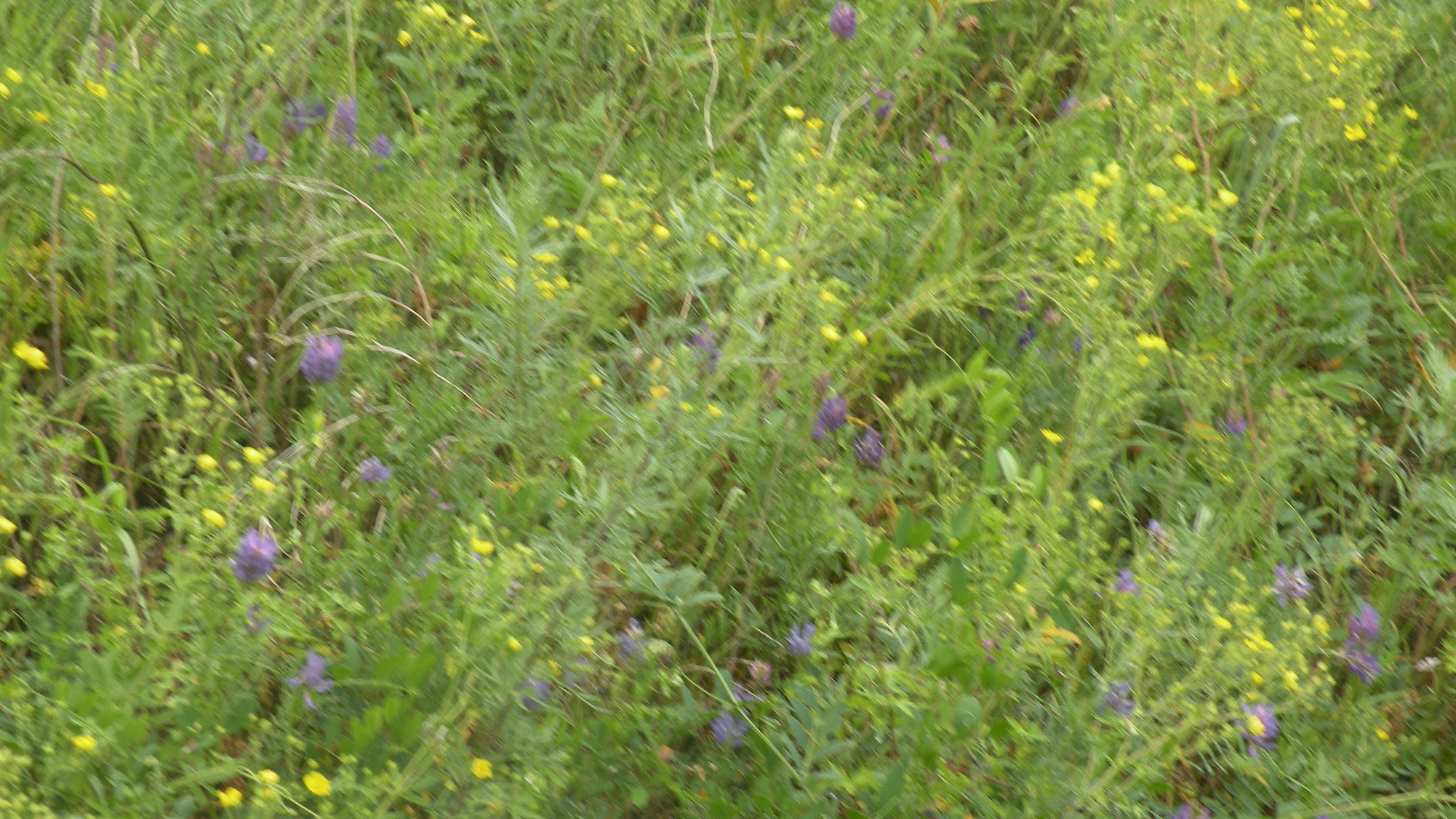 DSCN0308.JPG
