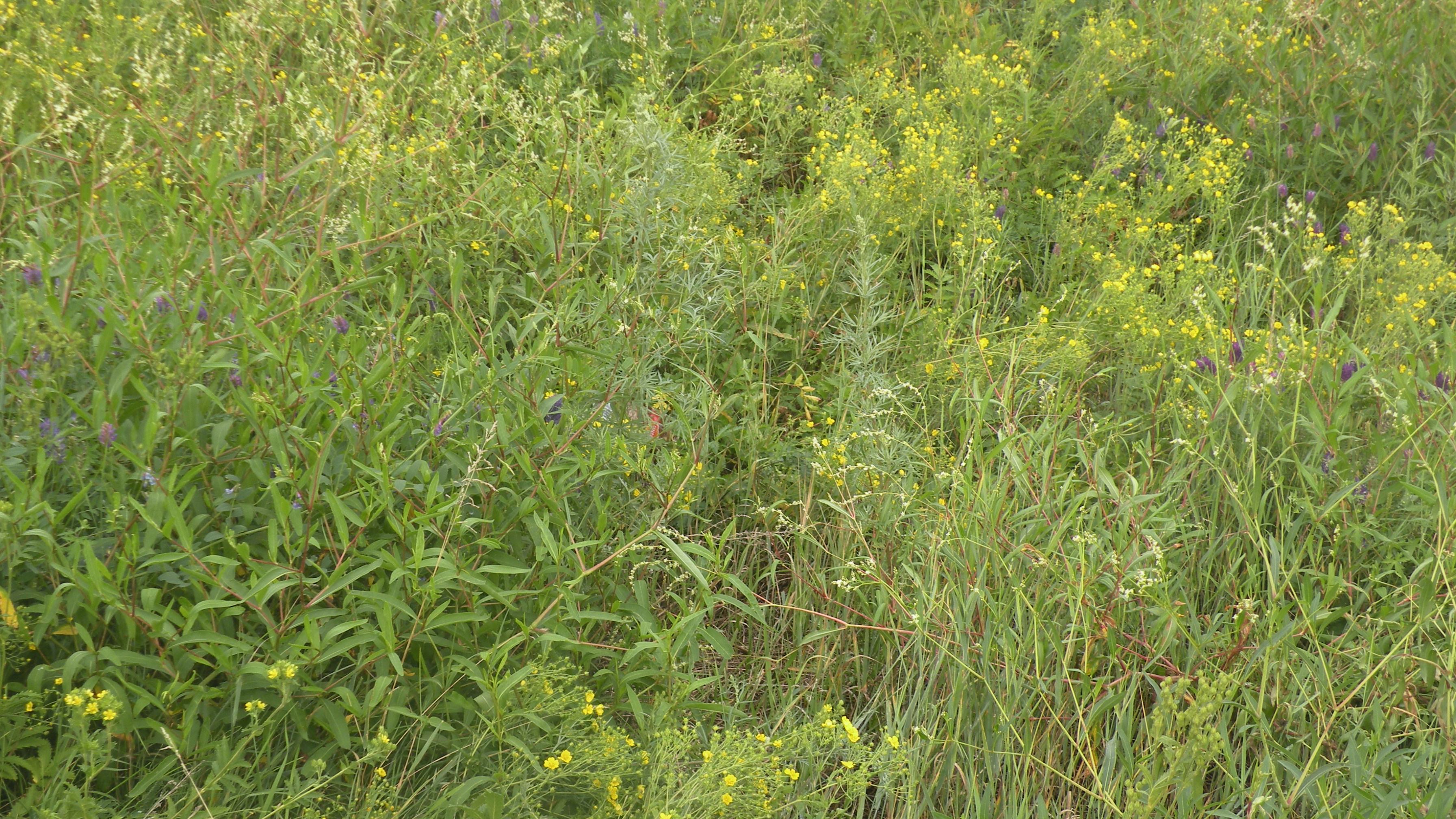 DSCN0305.JPG