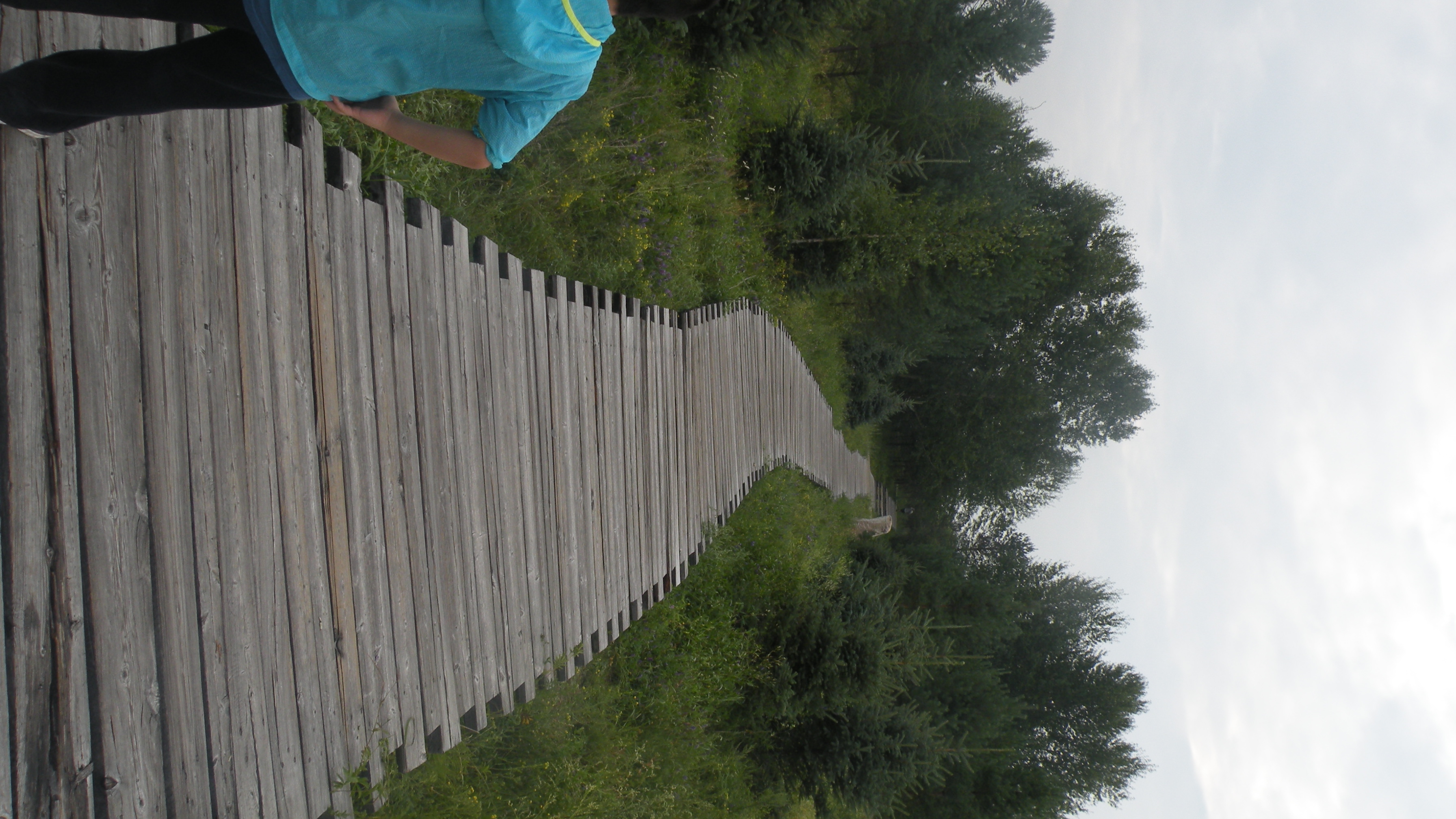 DSCN0304.JPG