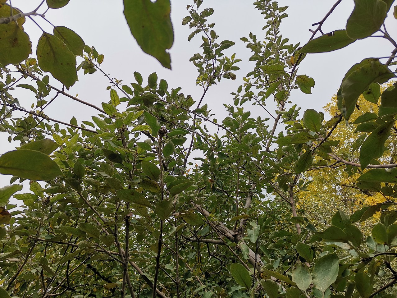 ƻ 20251025085808_314_220_.jpg