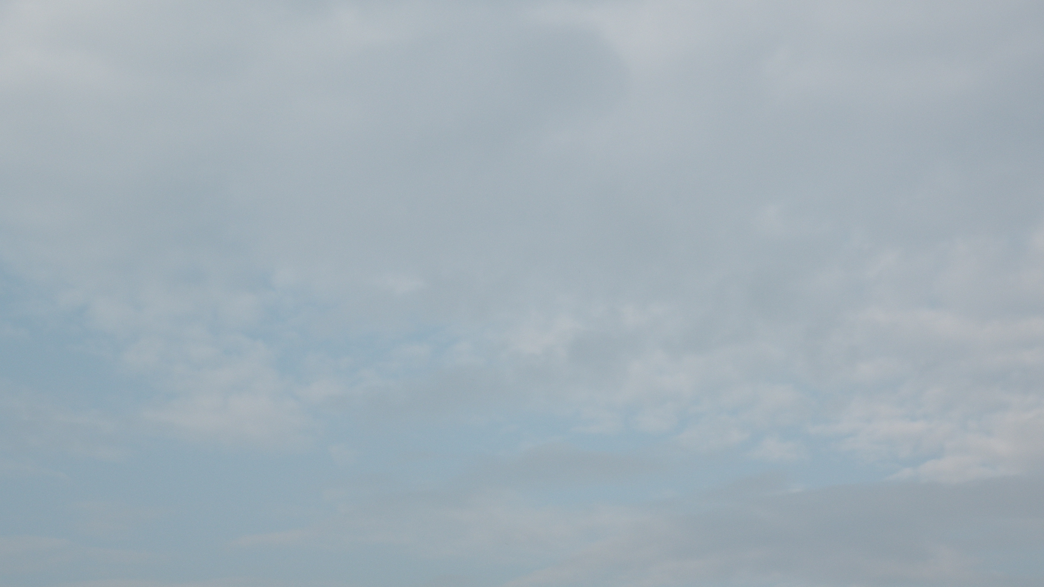 DSCN0334.JPG