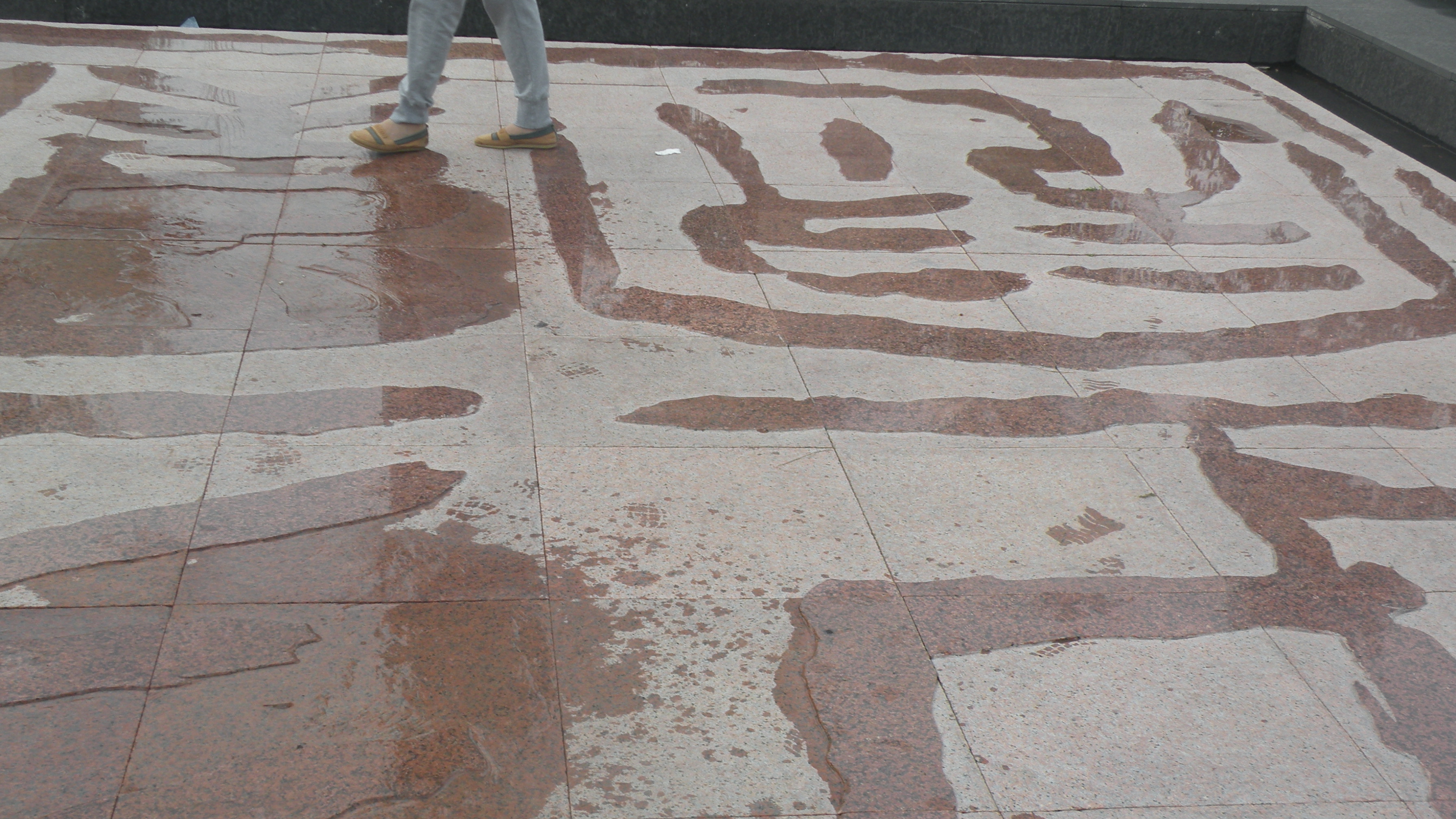 DSCN0324.JPG