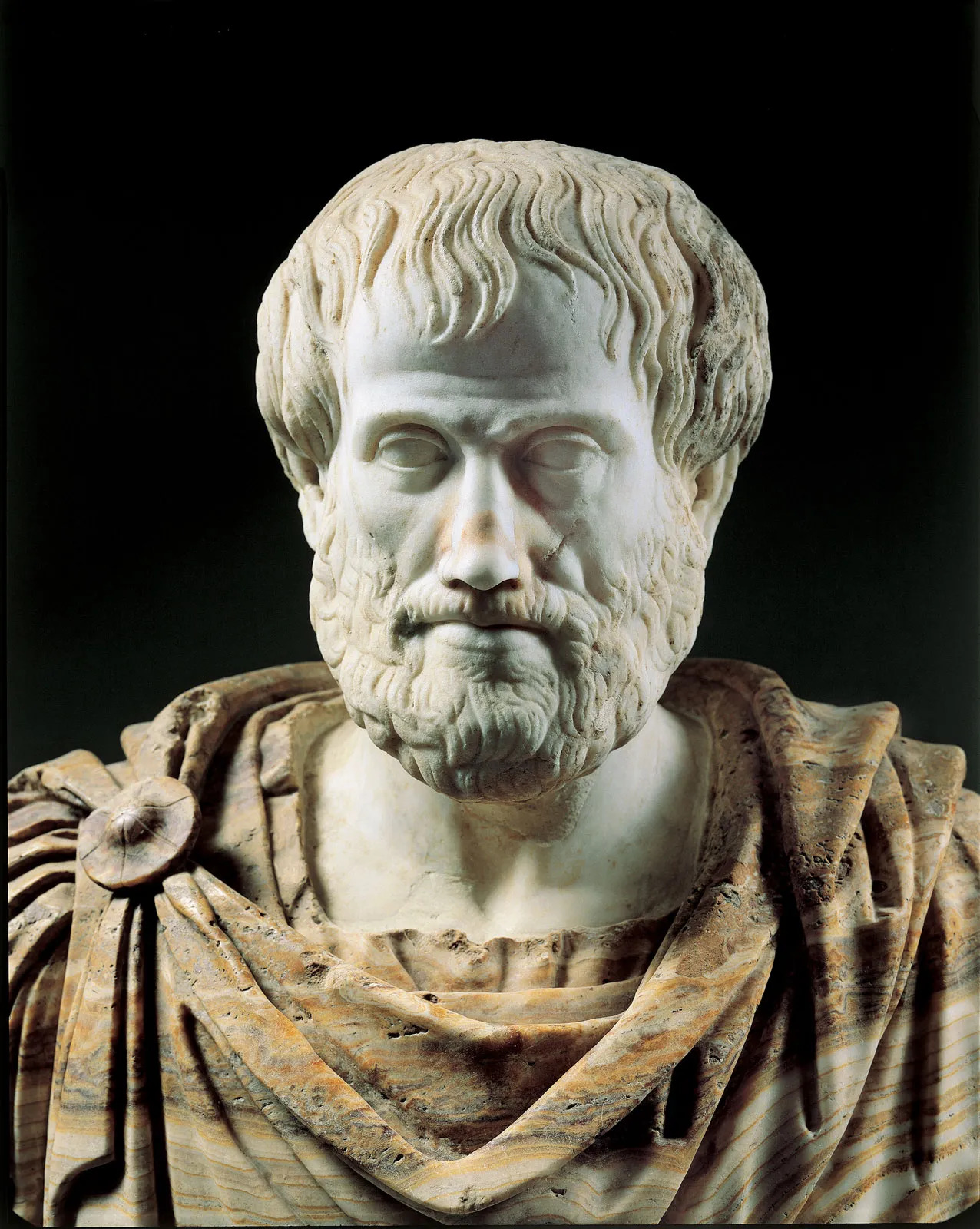 Detail-Roman-copy-portrait-bust-Aristotle-Greek britannica.jpg