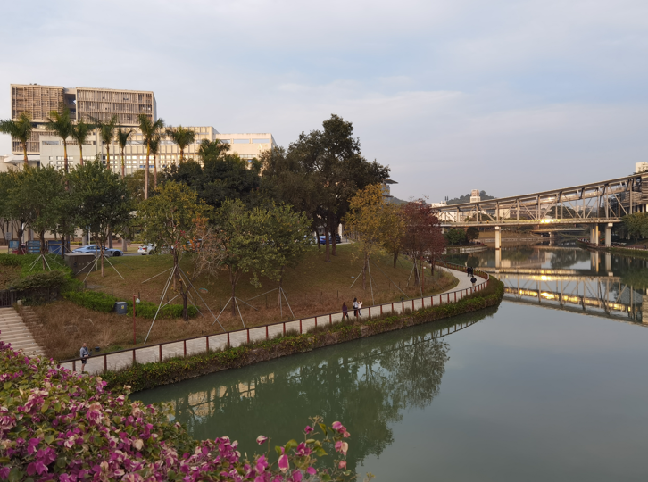 深圳大沙河冬日傍晚掠影05.jpg