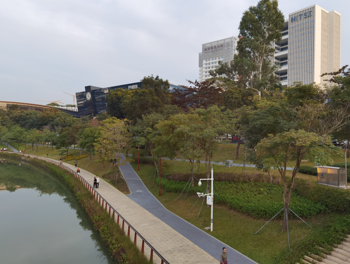 深圳大沙河冬日傍晚掠影06.jpg