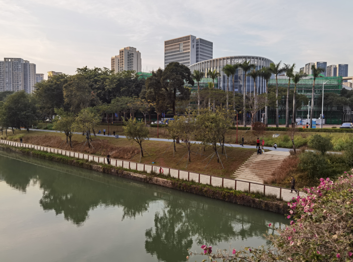 深圳大沙河冬日傍晚掠影07.jpg