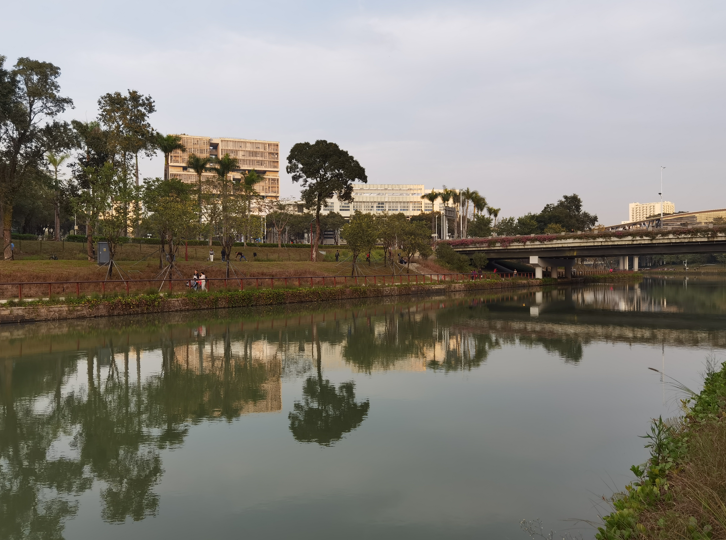 深圳大沙河冬日傍晚掠影10.jpg