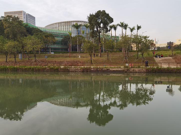 深圳大沙河冬日傍晚掠影12.jpg
