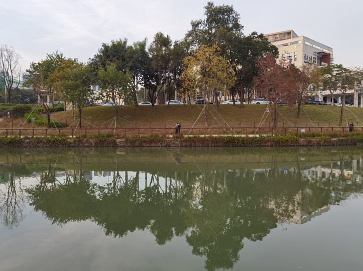 深圳大沙河冬日傍晚掠影14.jpg