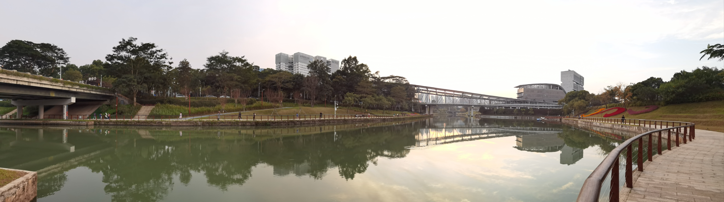 深圳大沙河冬日傍晚掠影27.jpg