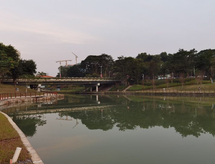 深圳大沙河冬日傍晚掠影29.jpg