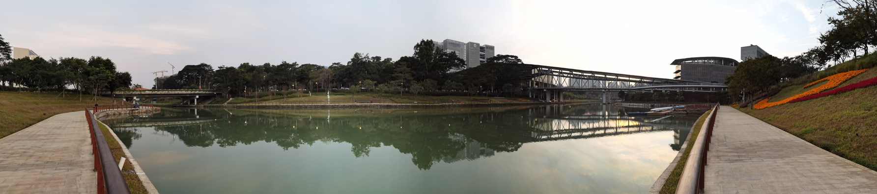 深圳大沙河冬日傍晚掠影31.jpg