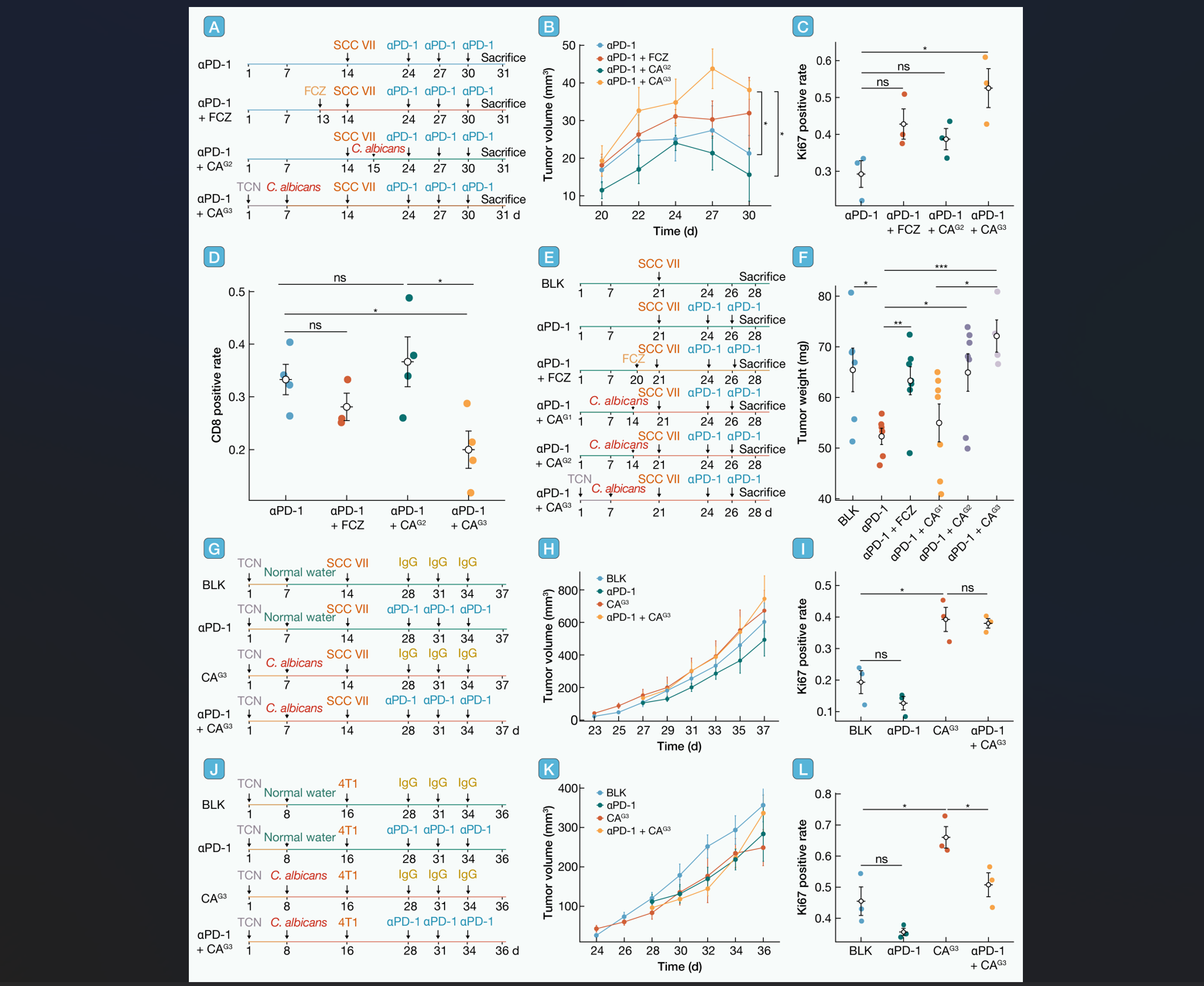 Ļͼ 2025-10-28 135827.png