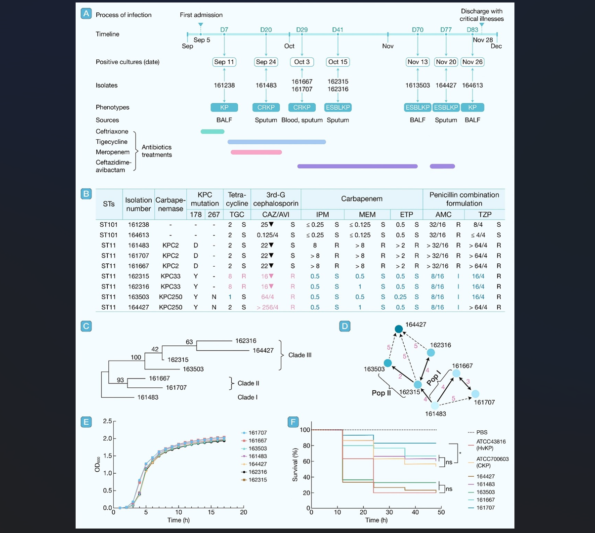 Ļͼ 2025-10-28 140557.png