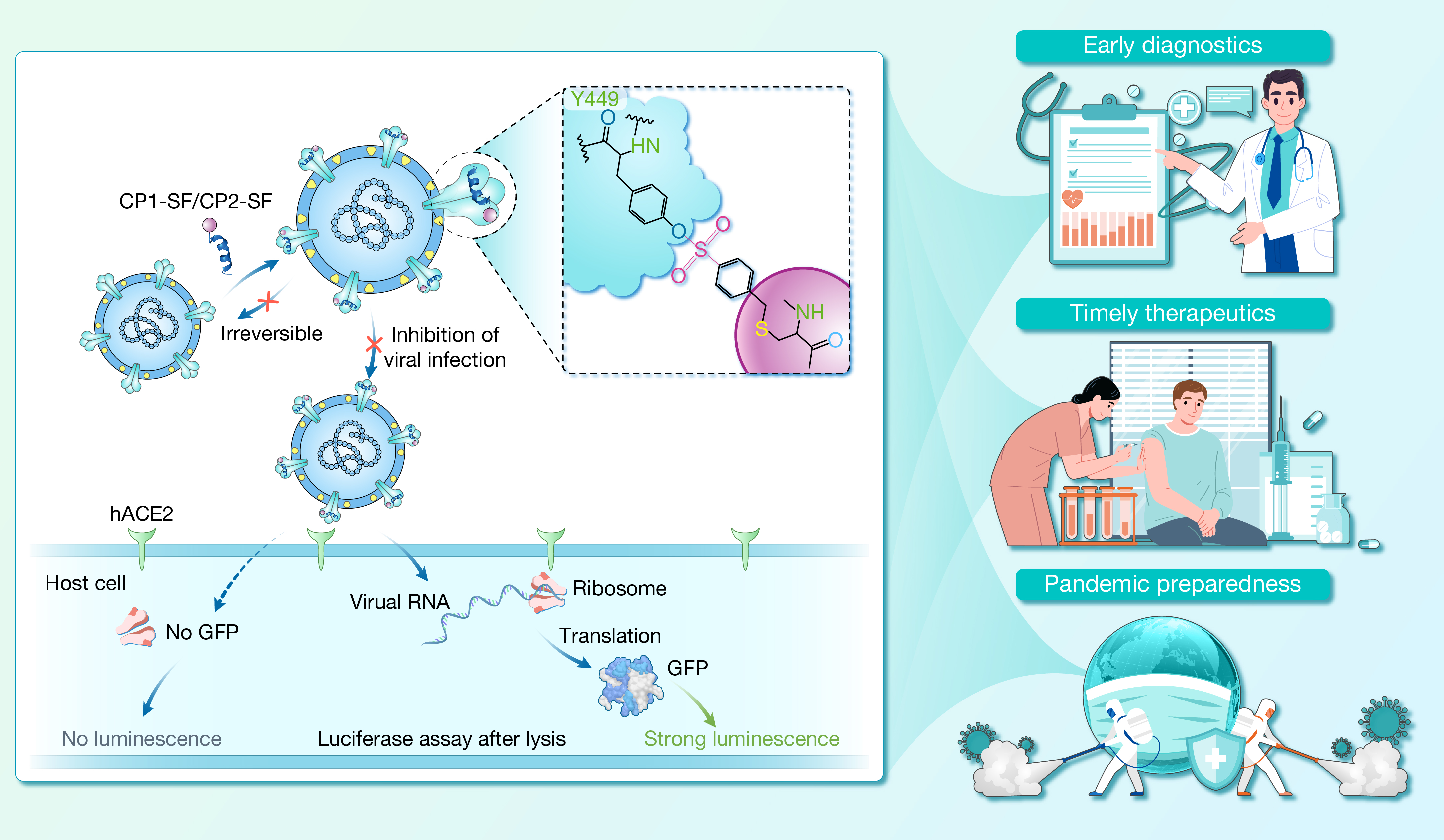 De novo design of covalent bonding peptides for target proteinС.jpg