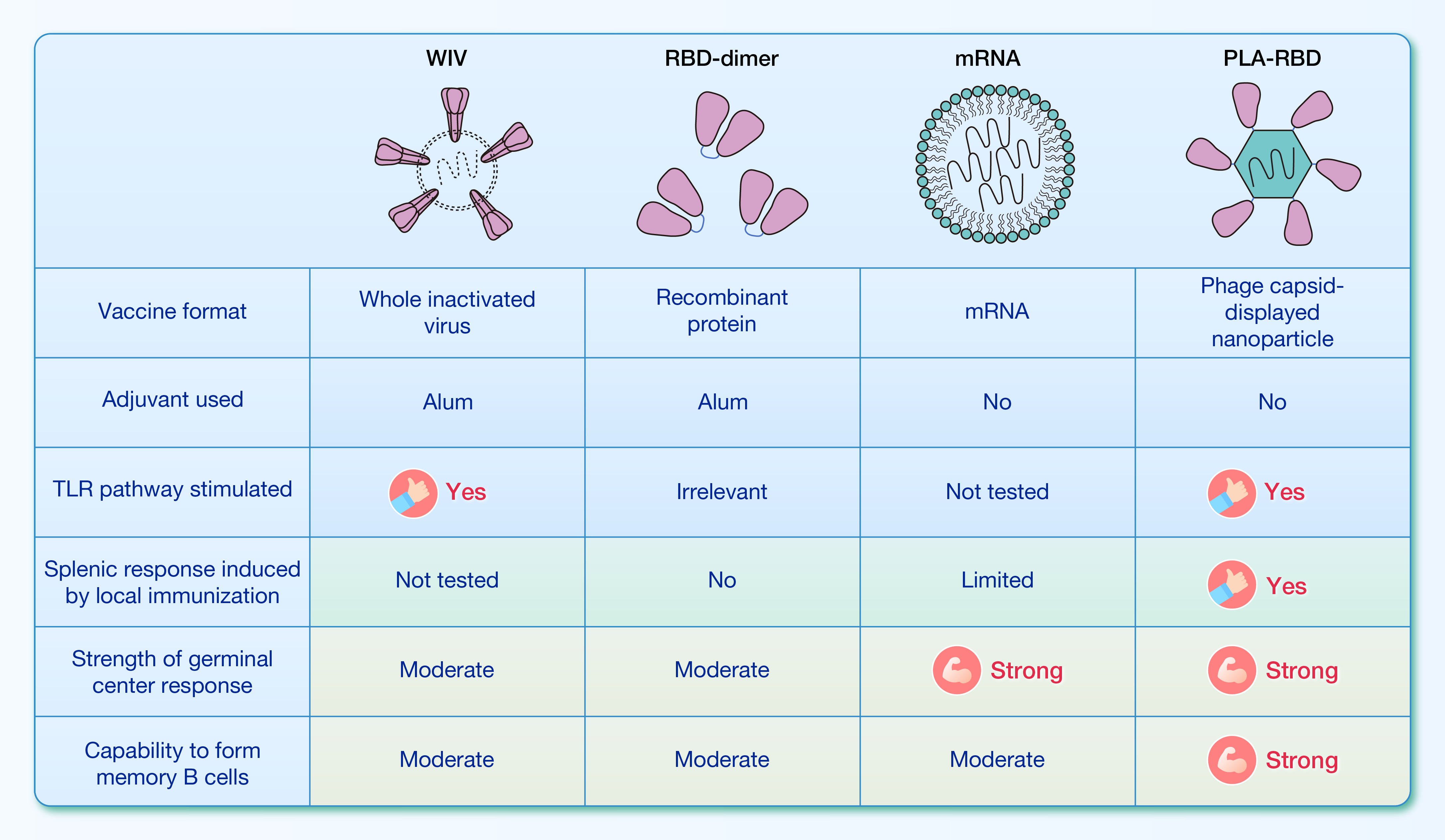 ٶComparison of antigen-specific B cell responses reveals disparity in im.jpg