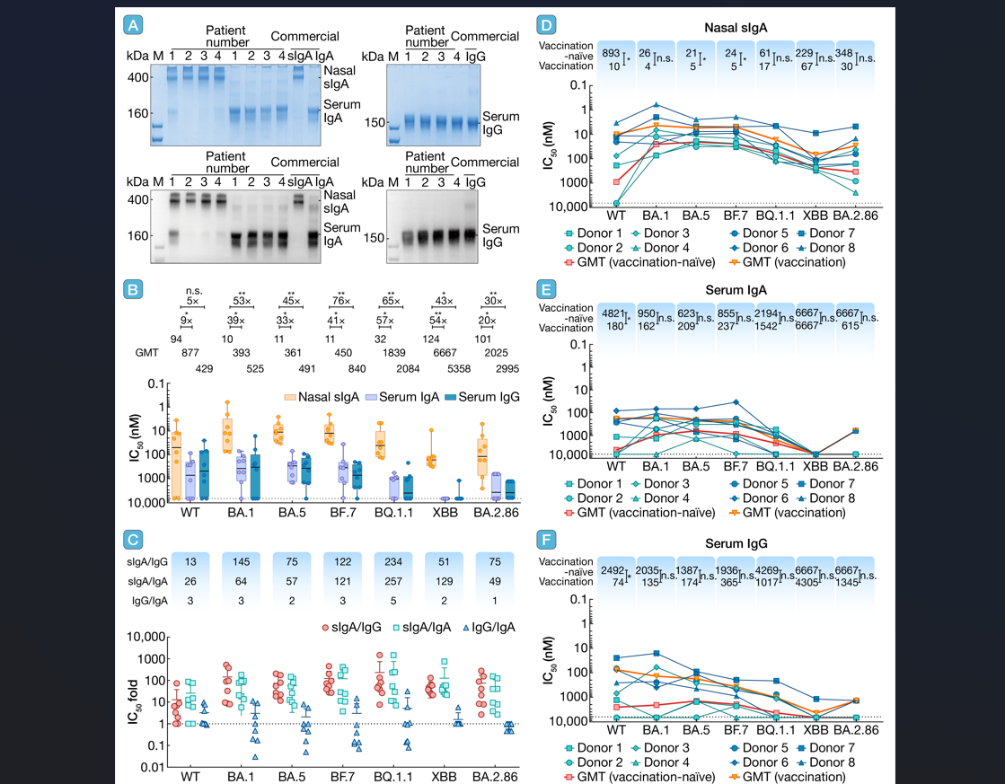 Ļͼ 2025-10-28 145325.png