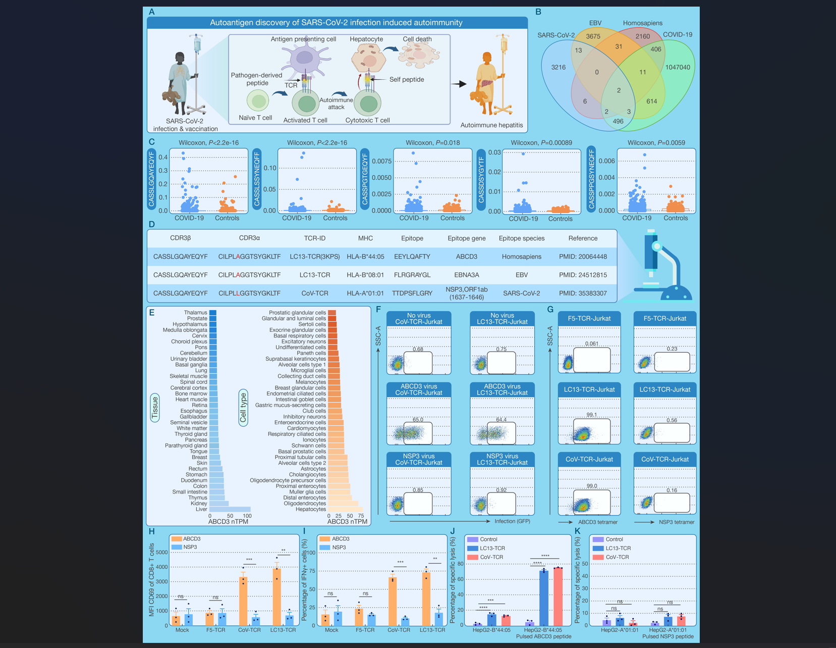 Ļͼ 2025-10-28 145726.png