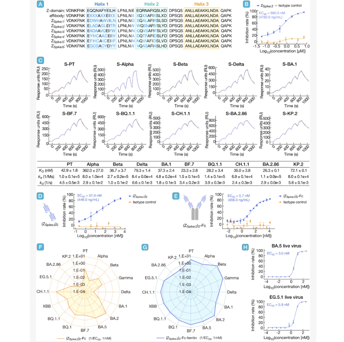 Ļͼ 2025-10-28 150306.png