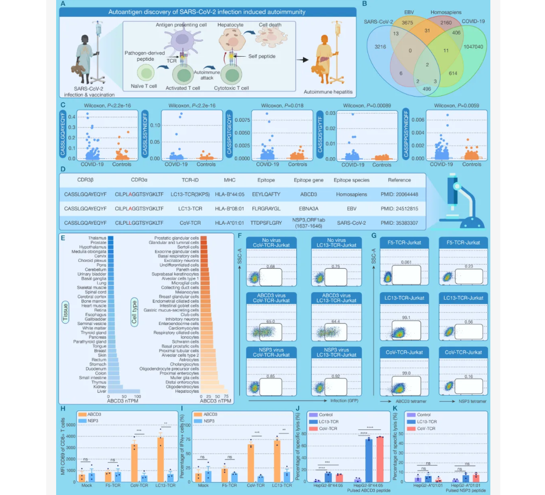 Ļͼ 2025-10-28 150536.png