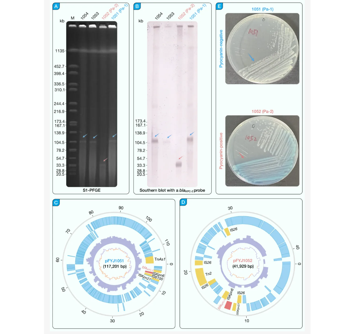 Ļͼ 2025-10-28 152101.png