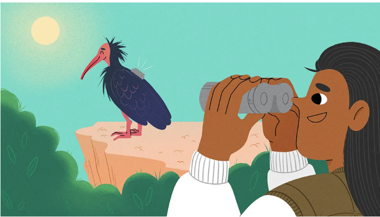 Screenshot 2025-10-28 173501.png