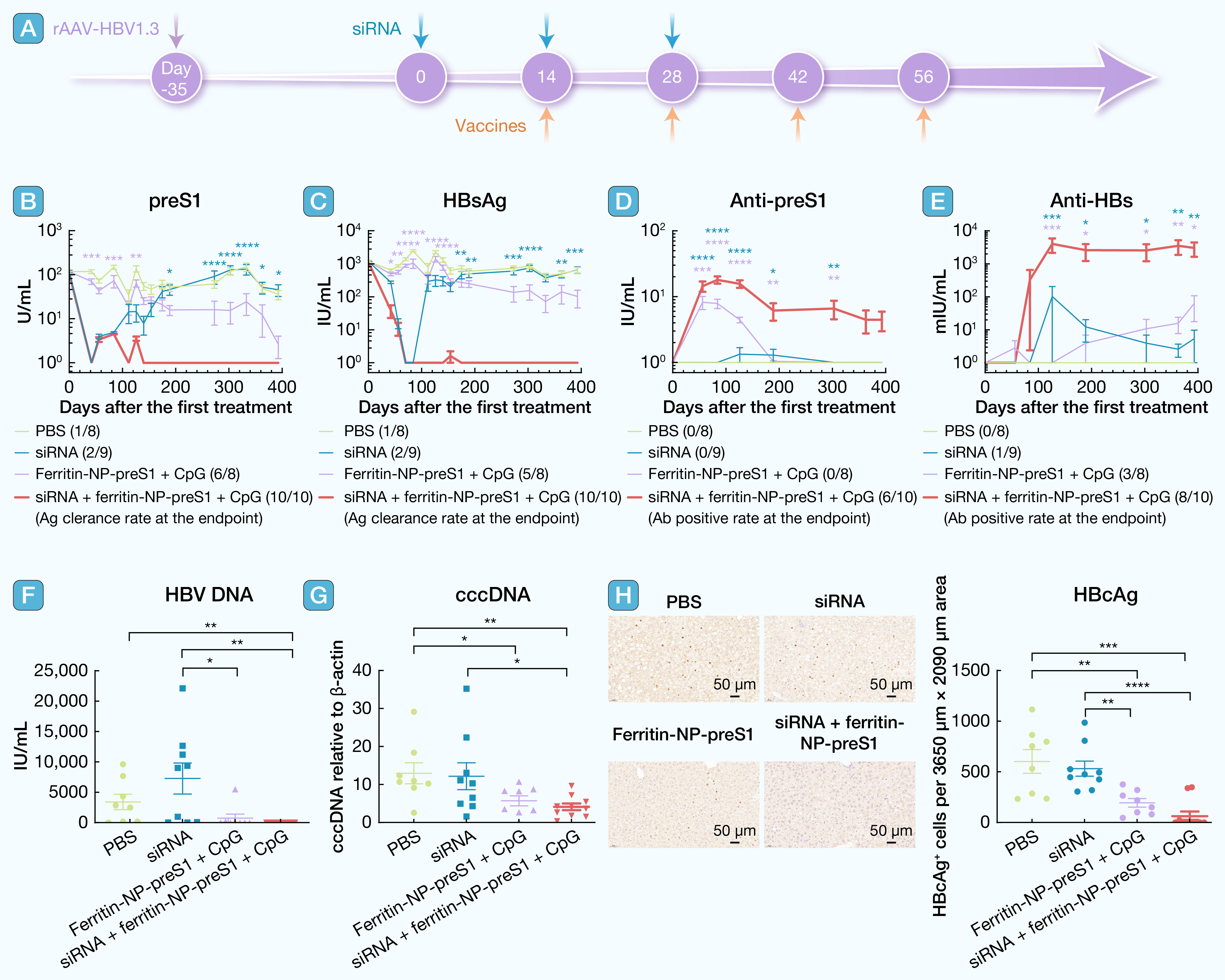 HLIFE-D-24-00186__letter-0213_(2 column).jpg
