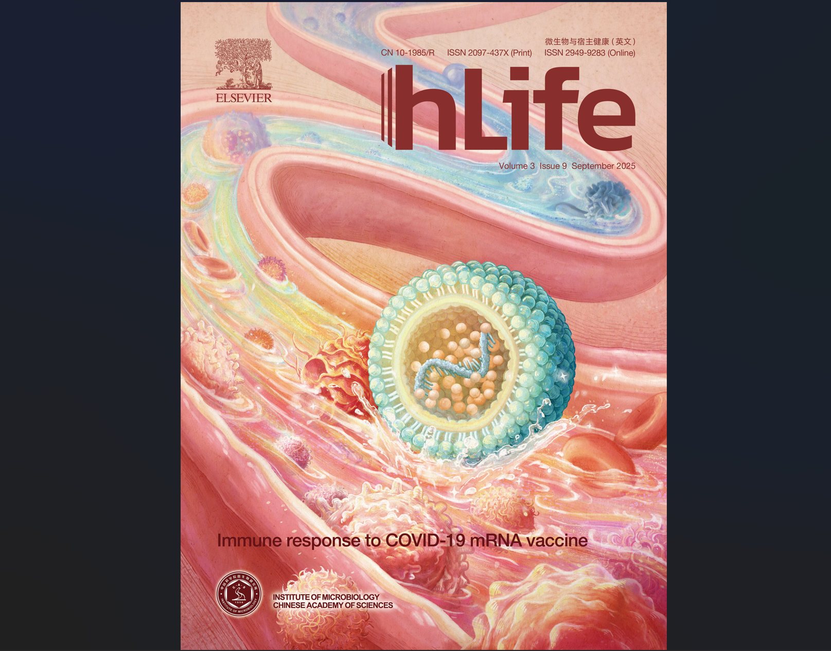 Ļͼ 2025-10-29 135806.png