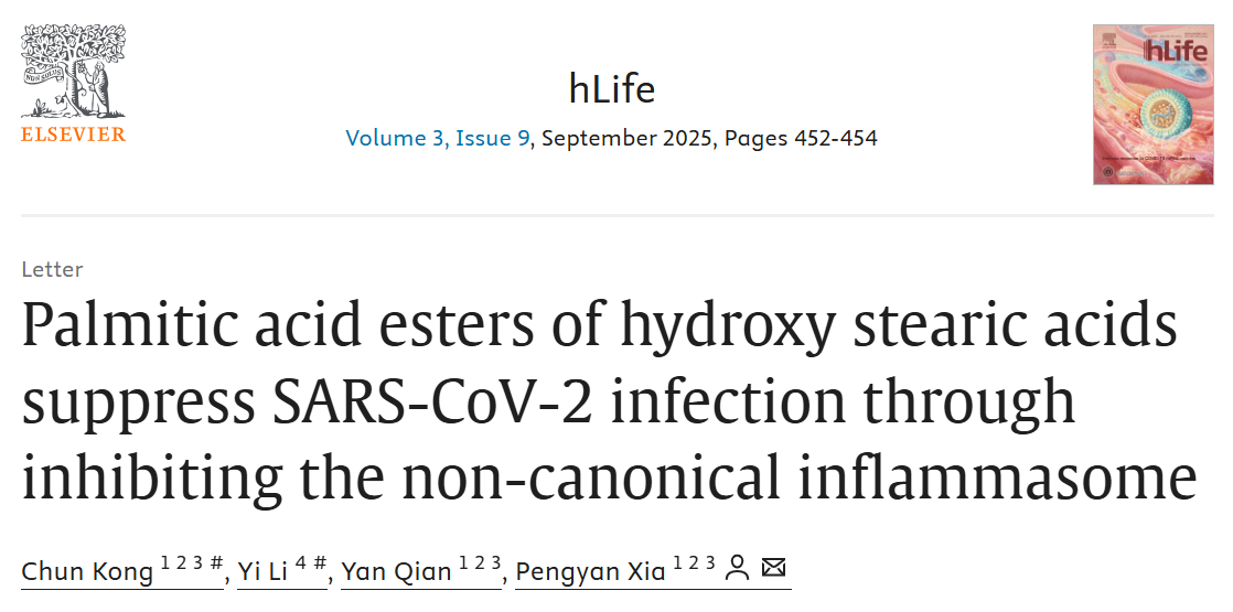 Ļͼ 2025-08-29 083651.png