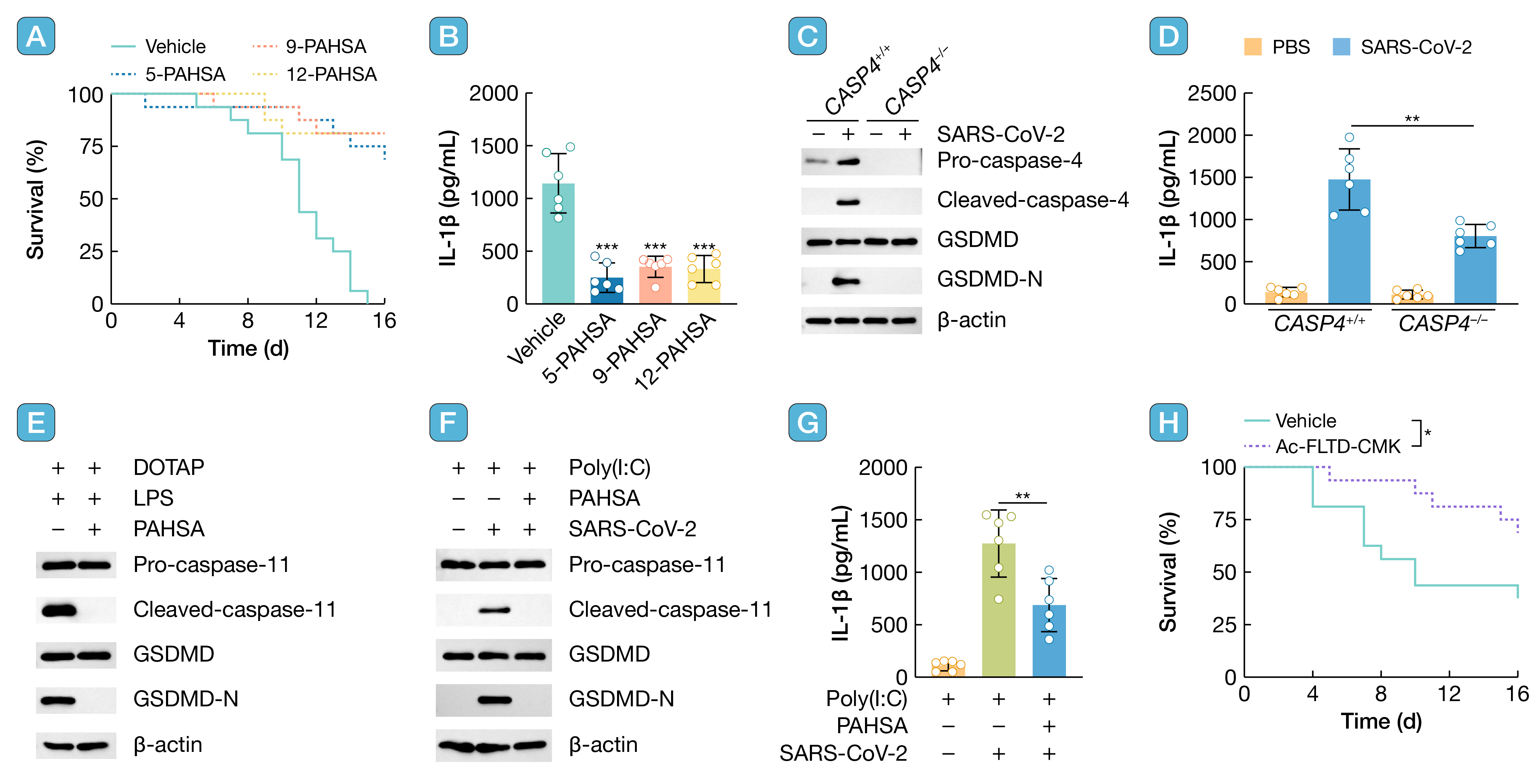 HLIFE-D-24-00171__article-0117_(2 column).jpg
