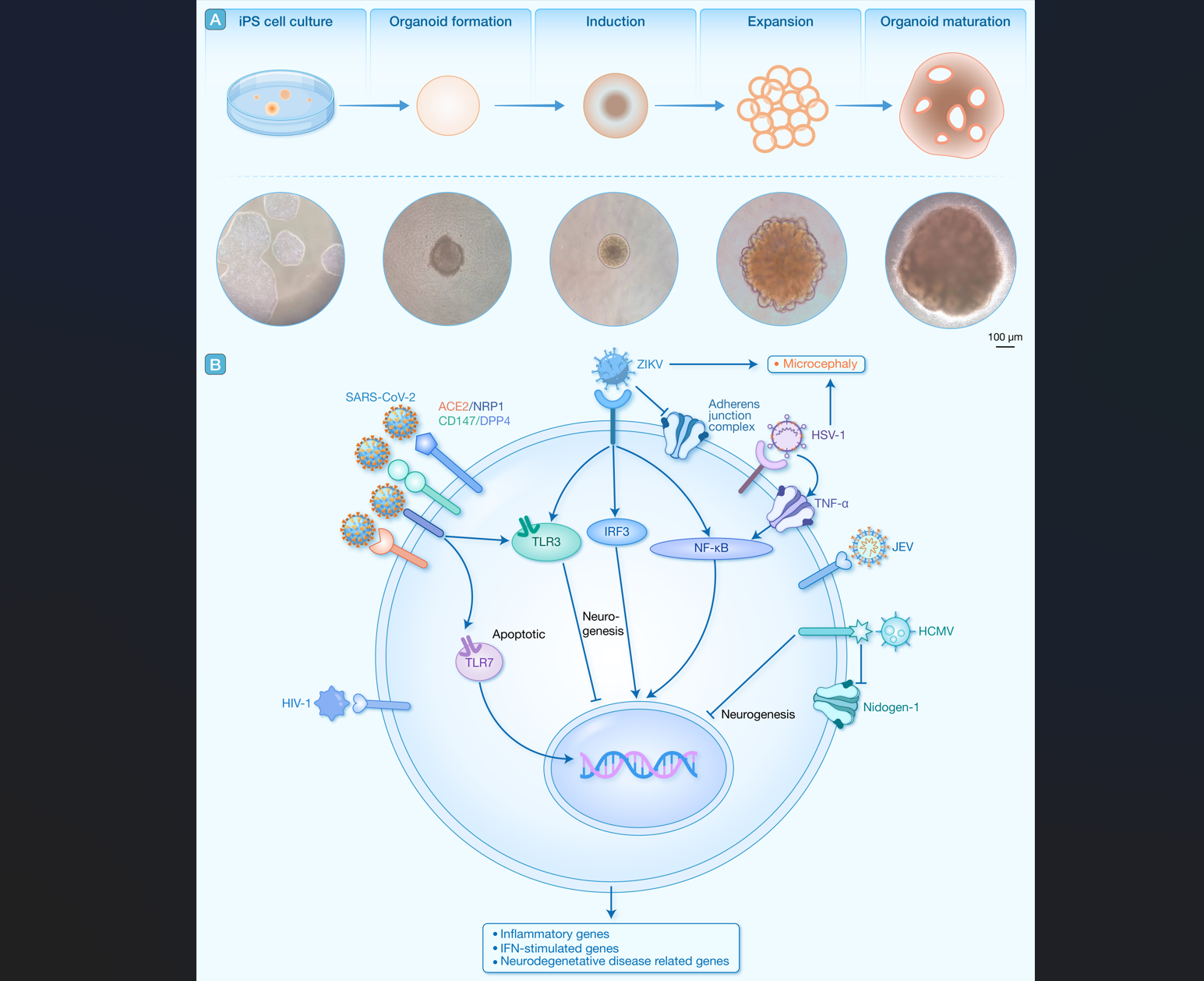 Ļͼ 2025-10-29 144048.png