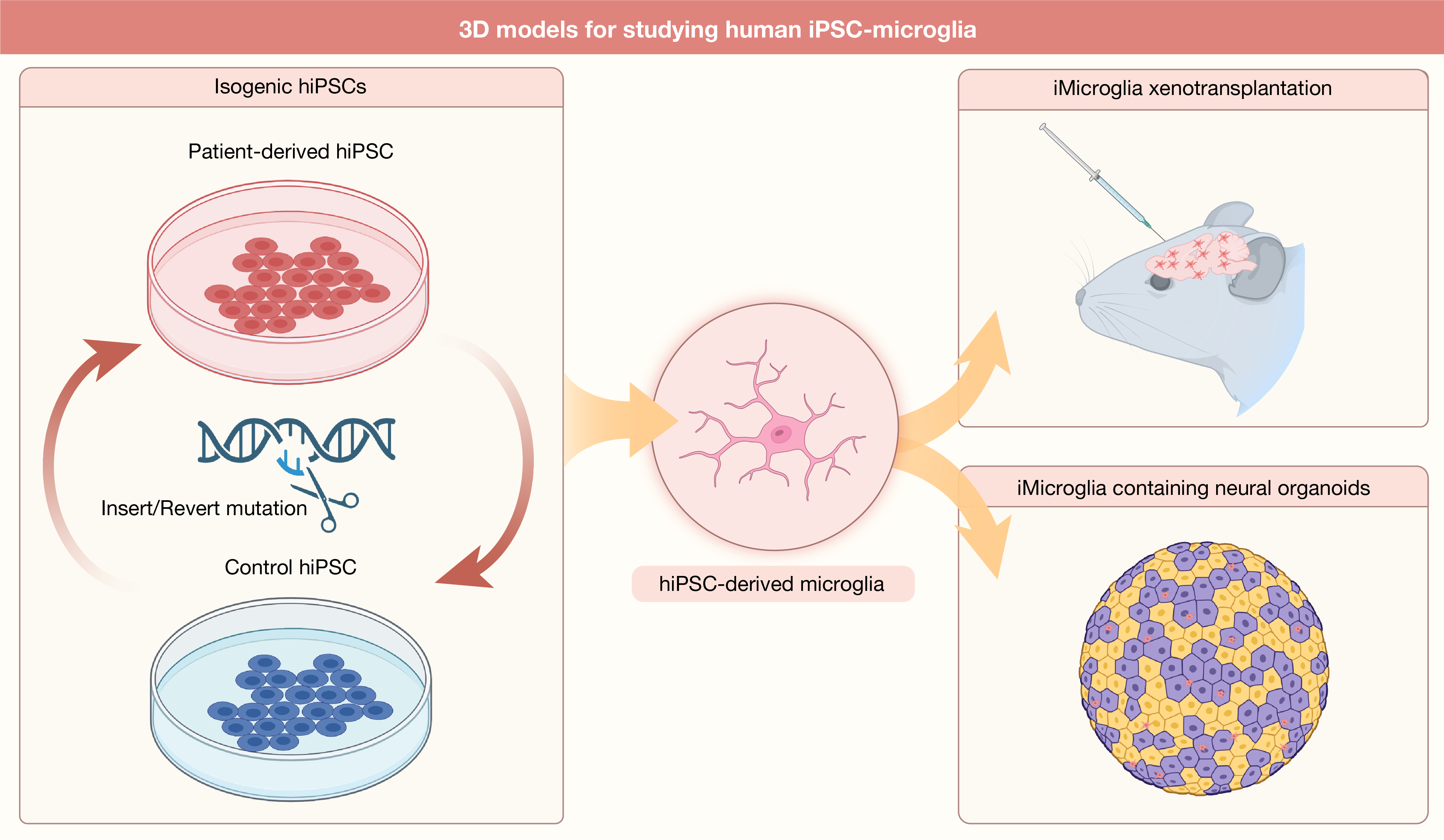 HLIFE-D-24-00162 Florent Ginhoux-0214_GA (2 column).jpg
