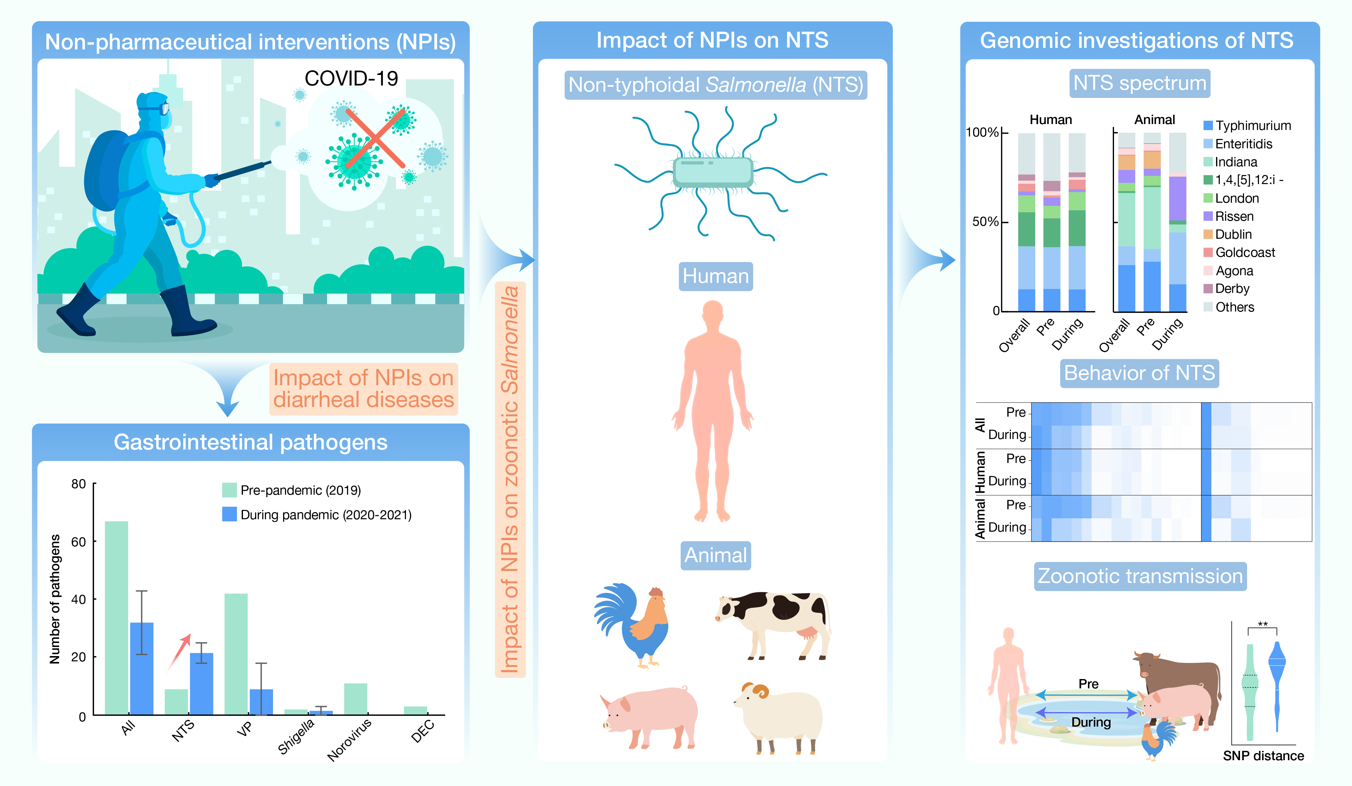 Impact of COVID-19-related nonpharmaceutical interventions on diarrheal diseases.jpg