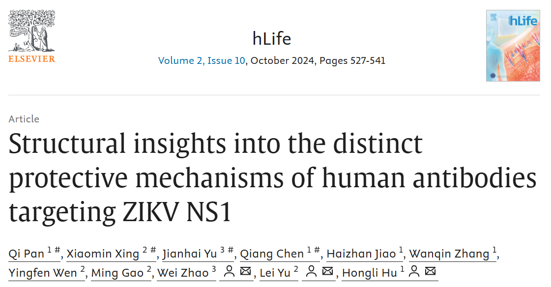 Structural insights into the distinct protective mechanisms of human antibodies .png