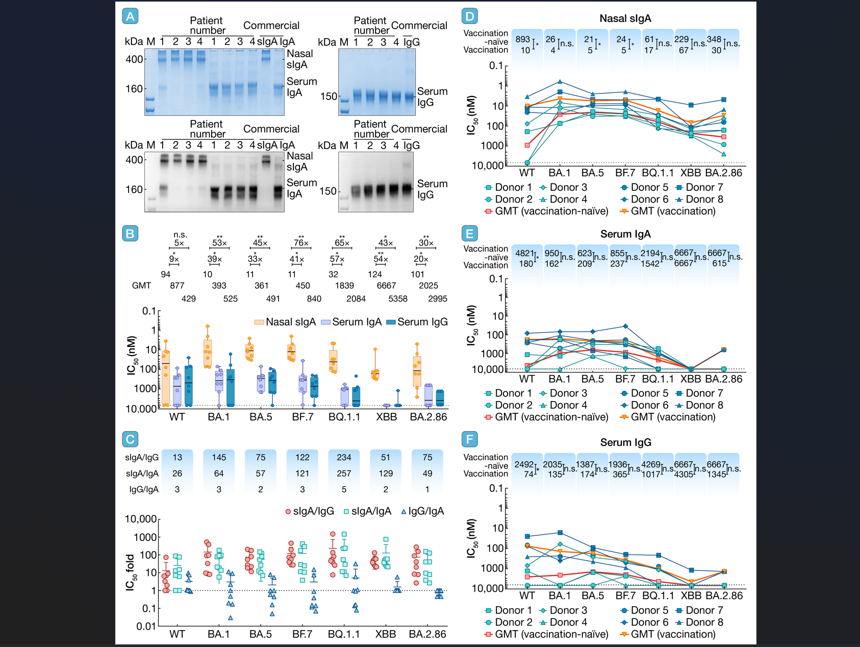 Ļͼ 2025-10-29 144537.png