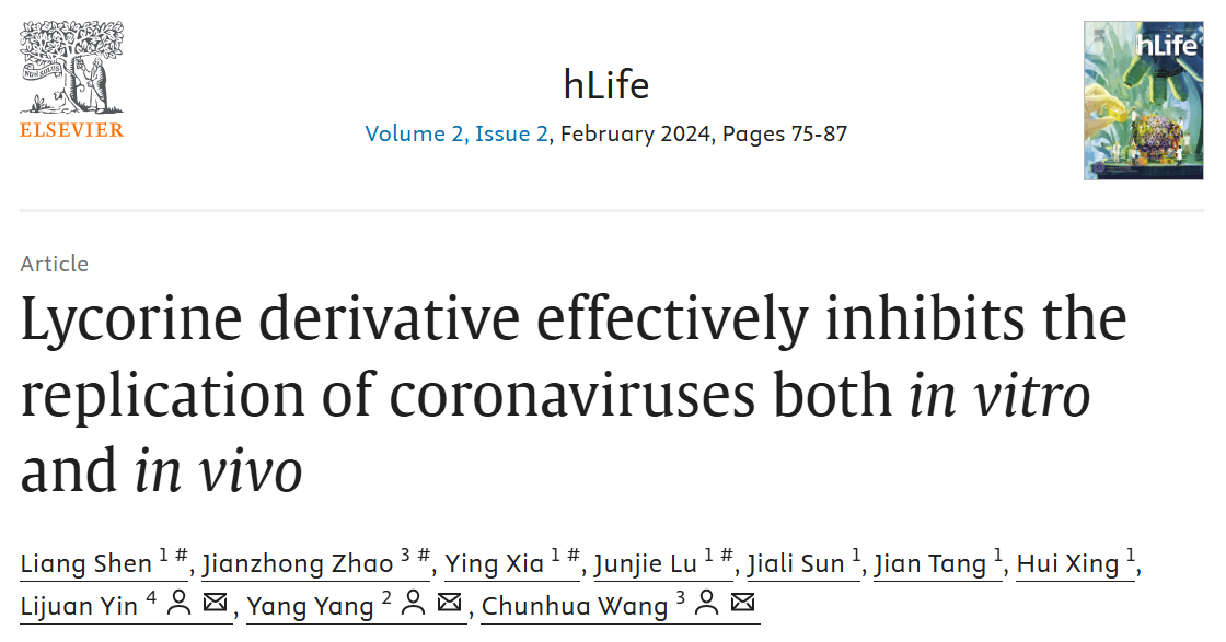 Lycorine derivative effectively inhibits the replication of coronaviruses.png