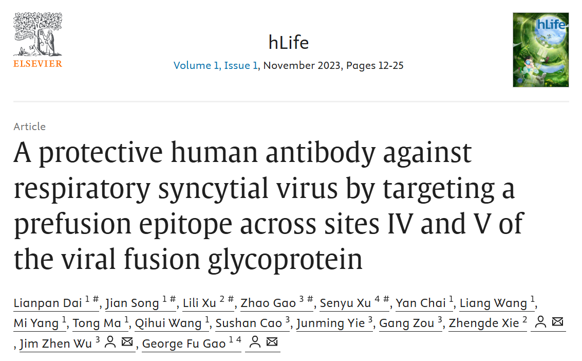 A protective human antibody against respiratory syncytial virus by targeting a p.png
