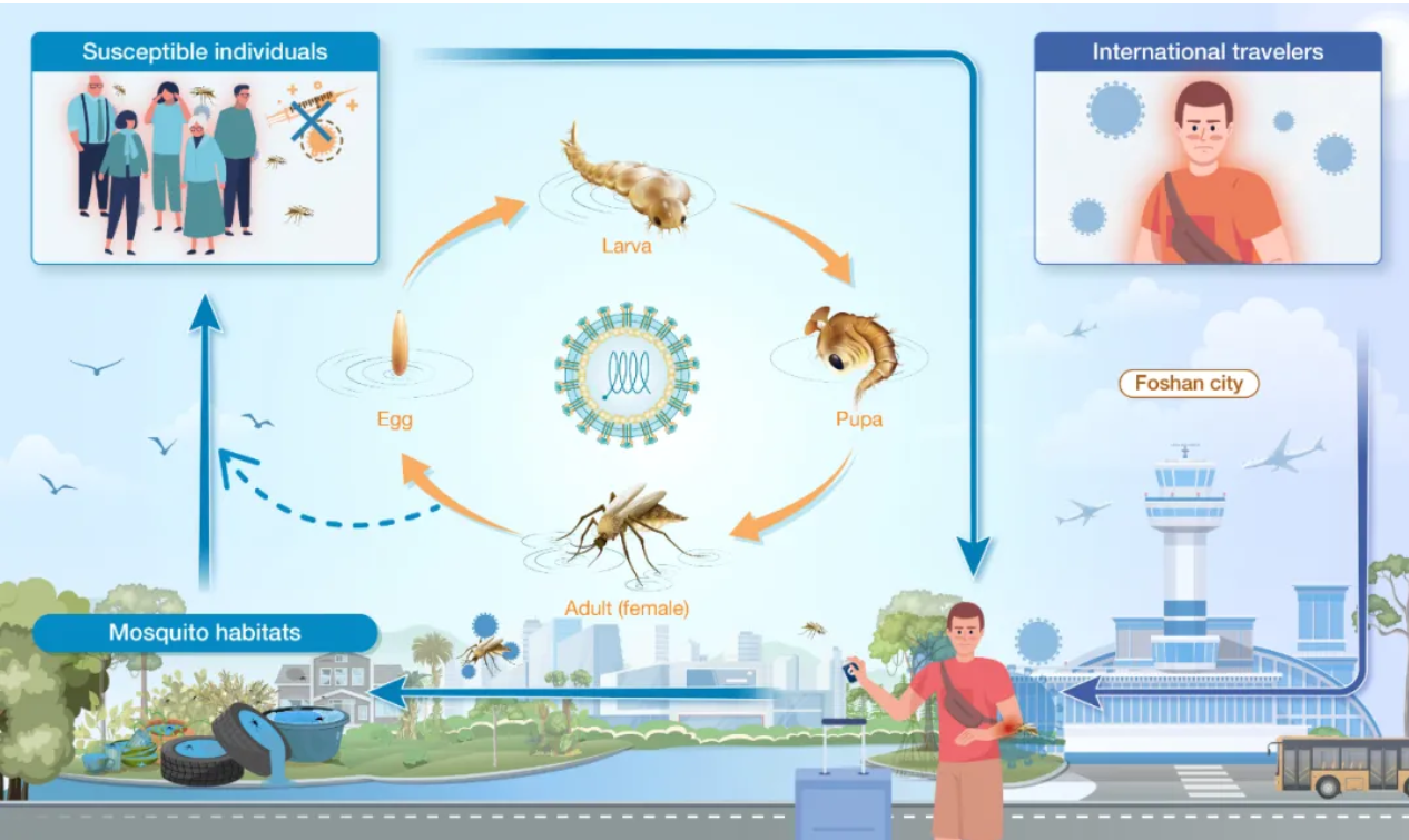 Ļͼ 2025-10-29 153619.png