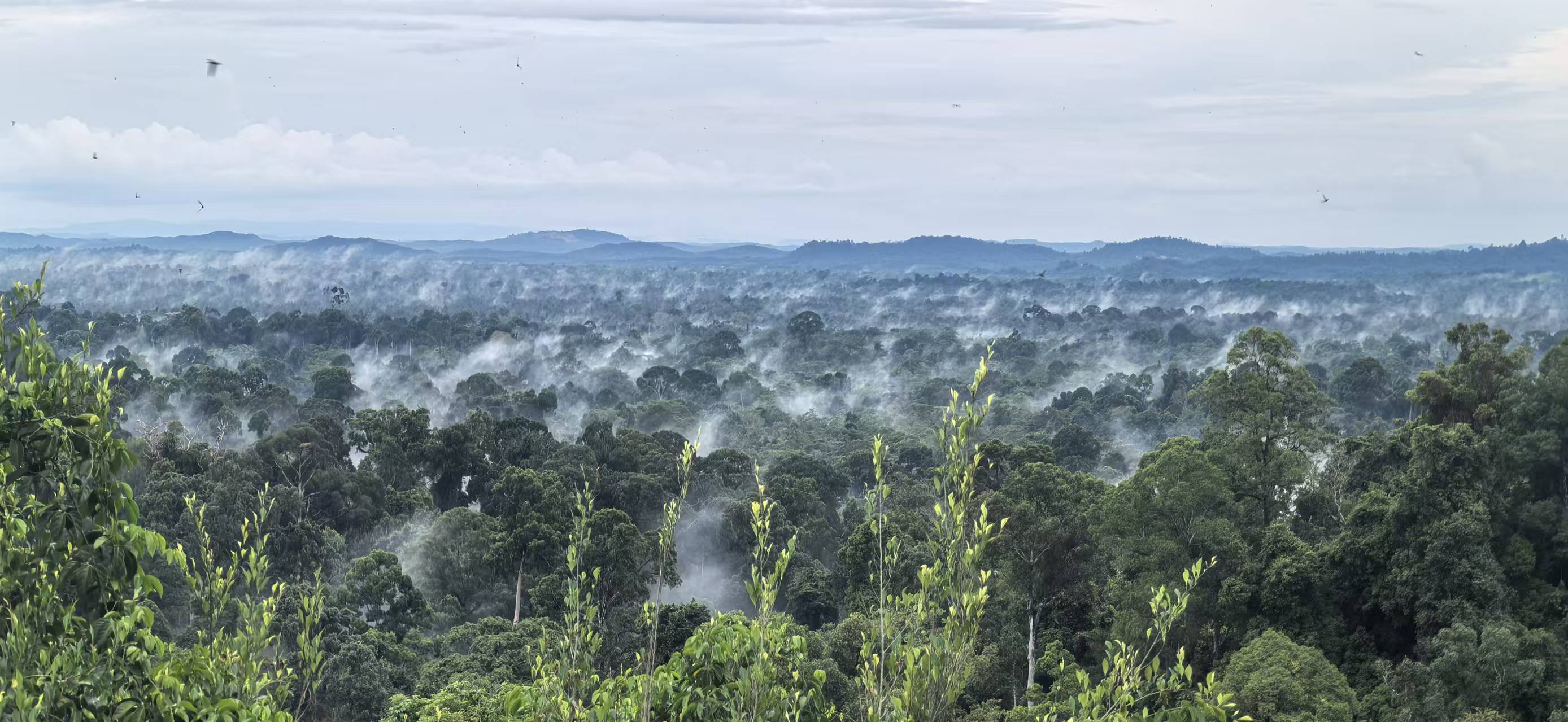 ͼ1 �������ܱߵ�����.jpg