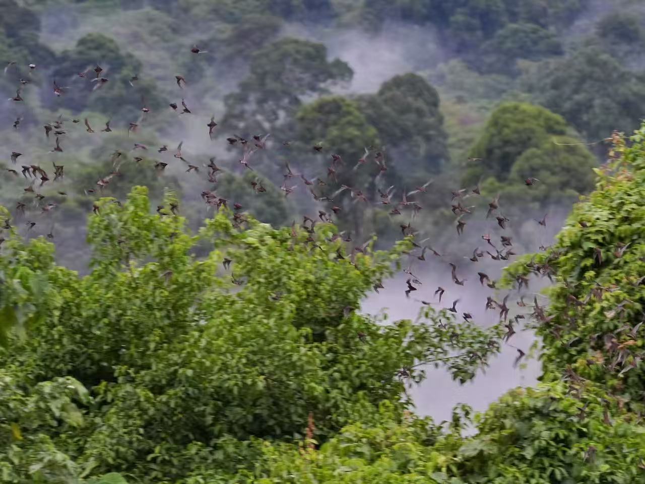 ͼ4 �Ӷ��зɳ�������.jpg