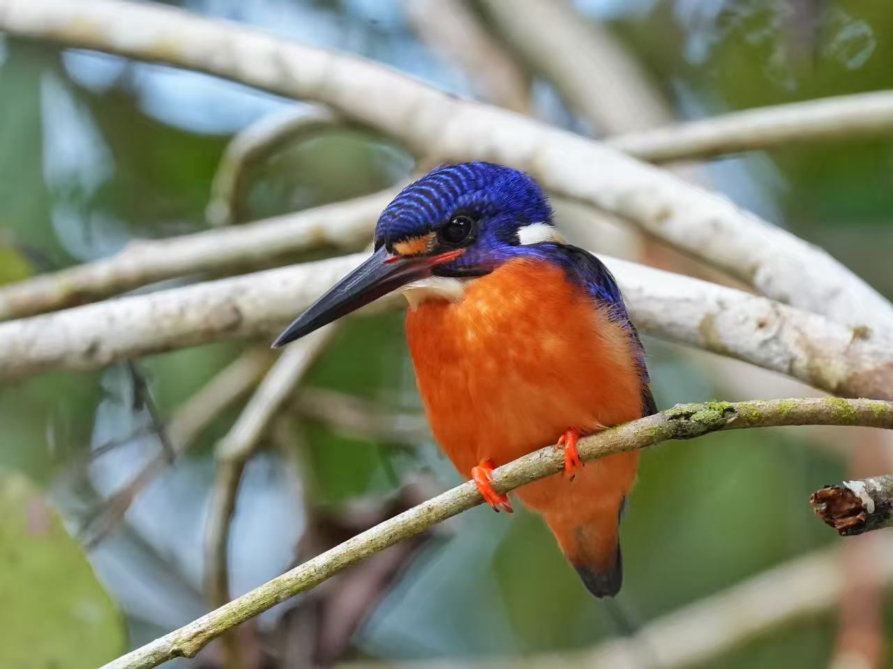 ͼ15 ��������.jpg