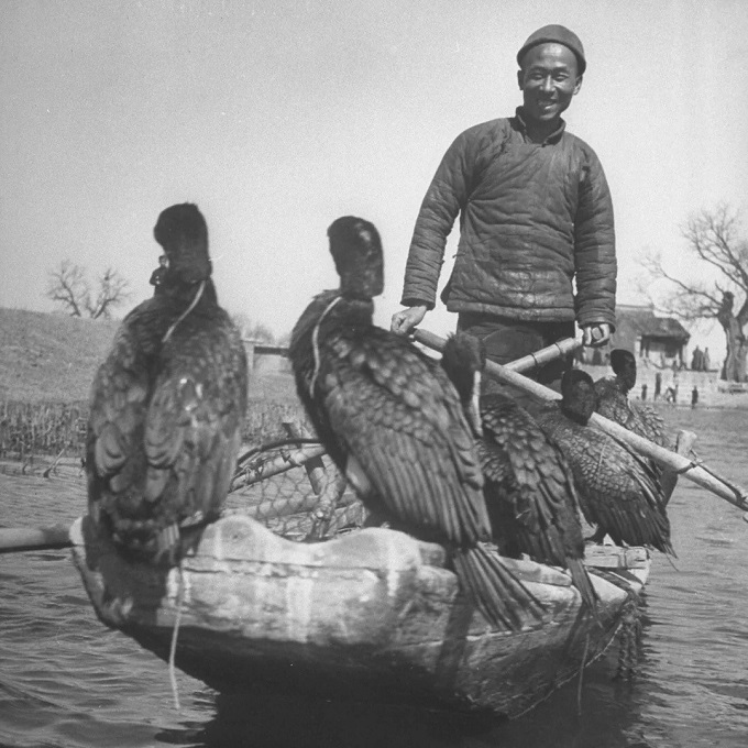 ˡƬ Dmitri Kessel Ϊ LIFE ־㡣й1946.jpg