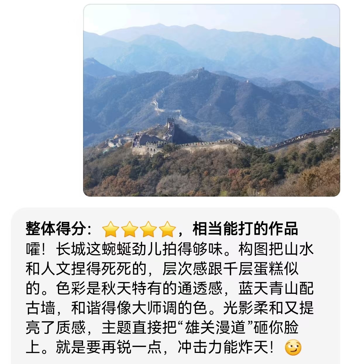 万事问AI之照片评价01.jpg