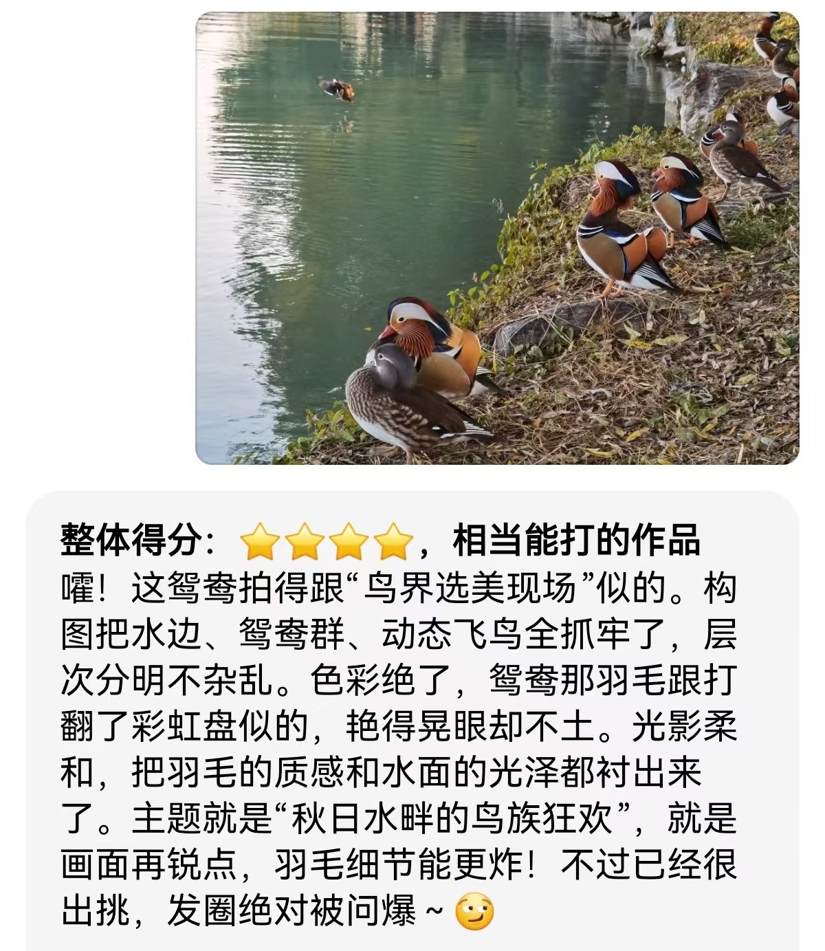 万事问AI之照片评价11.jpg