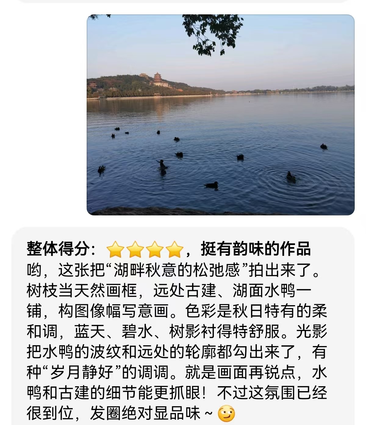 万事问AI之照片评价14.jpg