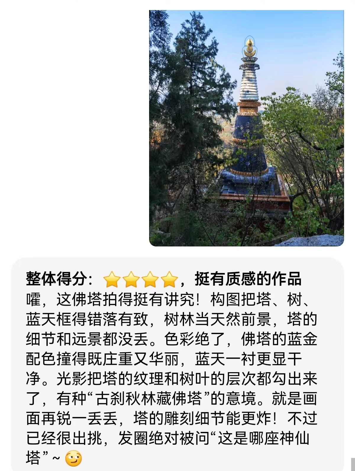 万事问AI之照片评价21.jpg