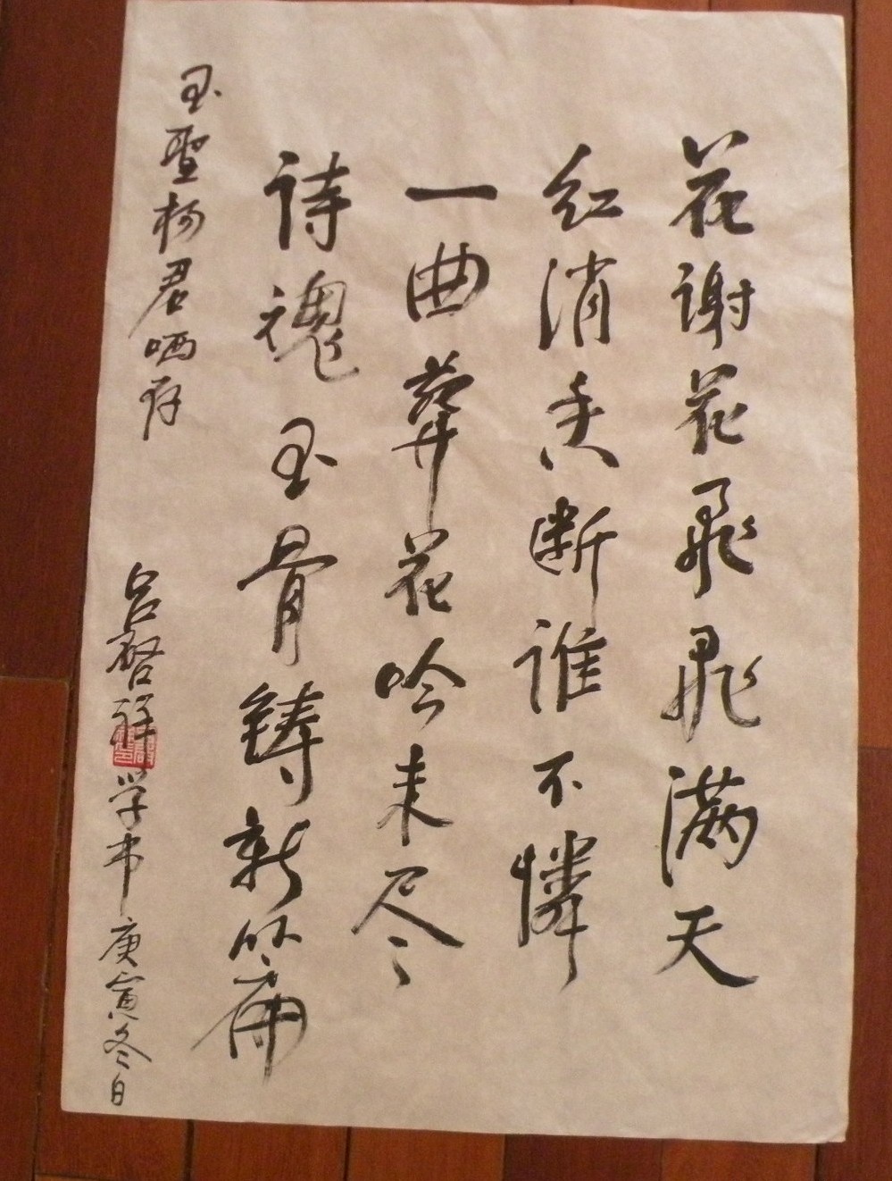 6 2011-01-22 008.JPG